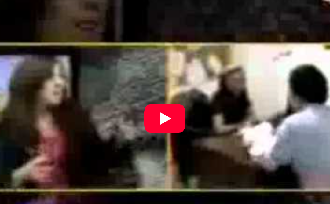 Blue Wing Coaching Canal 40